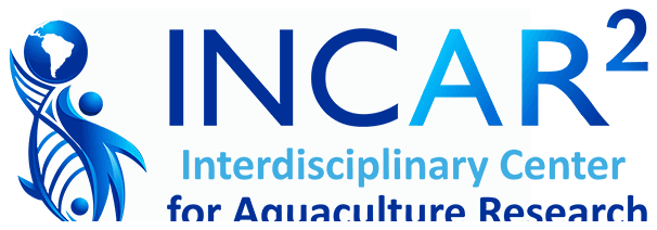 INCAR²