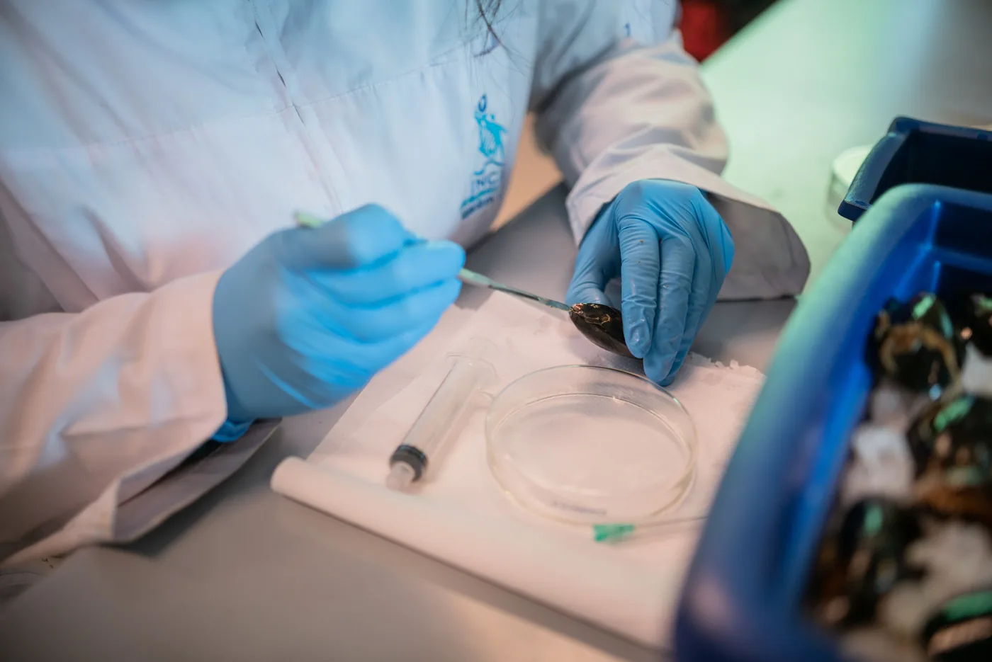 Investigadora de INCAR² analizando muestras en laboratorio
