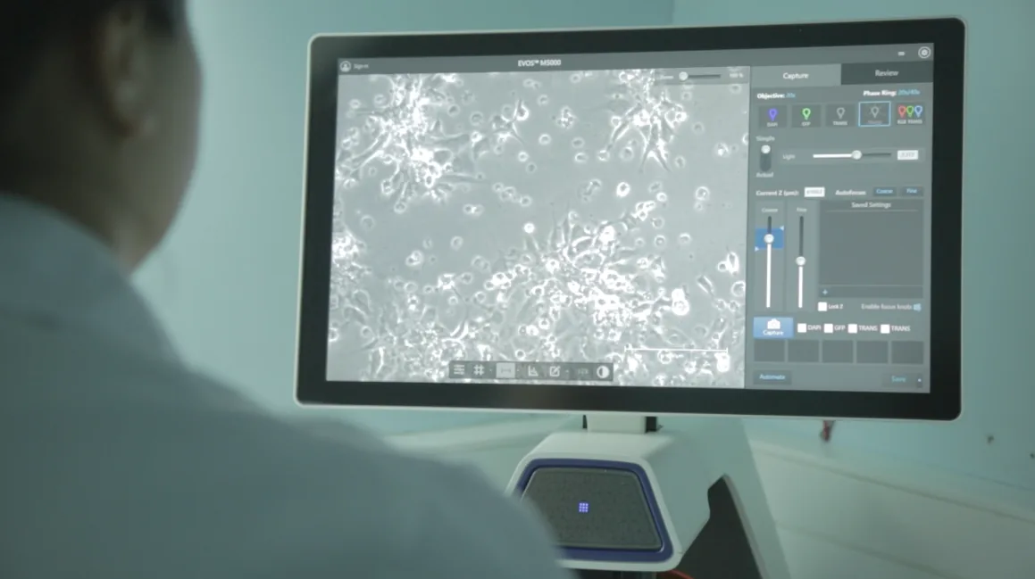 Análisis de imágenes de microscopía en un laboratorio de INCAR²